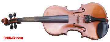 Violin Suzuki Three Qurter Size Number 220 Year 1977 Musical Instrument [5 KB]